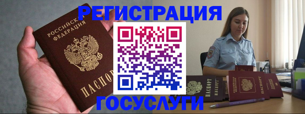 где прописаться в Коле